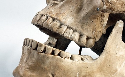 Árulkodó fogak: lágyabb ételeket ettek őseink, mint hittük?
