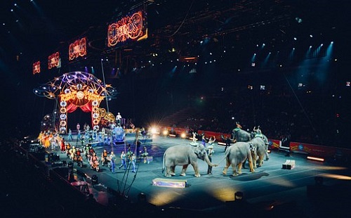 Nemzetközi Cirkuszfesztivál a fővárosban 