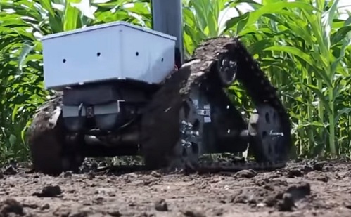 Robot segít a növénytermesztés gyorsításában?