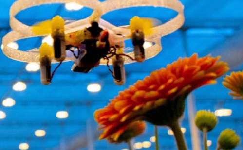Denevérszerű drónok irtják hamarosan a rovarokat?