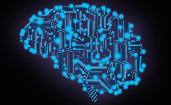 Magyar kutatók vizsgálják az emberi agy és a mesterséges intelligencia működését