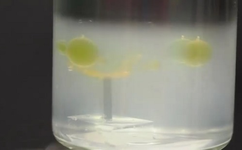 Mesterséges intelligencia - Vízi robot tisztíthatja a vizet