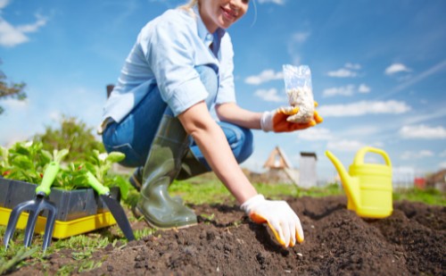 Kertszépítés - Néhány ötlet a hatékony növénytermesztéshez!