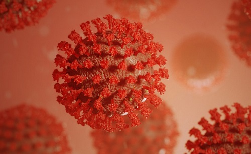 Életen át kitartó antitestek fejlődnek ki enyhe koronavírus esetén?