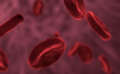 Biztonságos a transzfúziós vér? Megmondja a mesterséges intelligencia