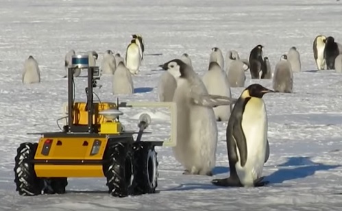 Mesterséges intelligencia - Pingvinekkel él egy robot az Antarktiszon 
