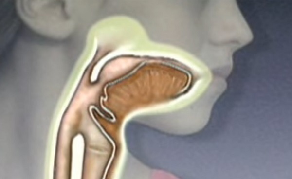 A mesters&eacute;ges intelligencia &aacute;ltal ir&aacute;ny&iacute;tott robotikus rendszer meghosszabb&iacute;tja a nyelőcs&ouml;vet