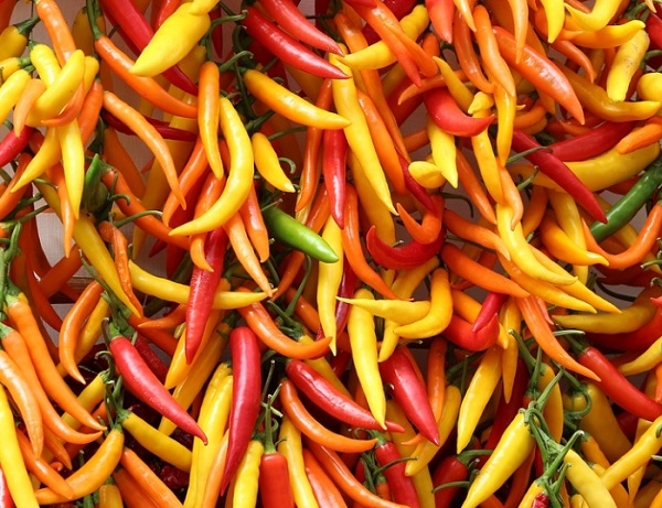 A chili fokozza a vérbőséget, élénkíti a vérkeringést