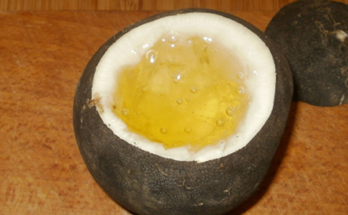 A méz kihozza a fekete retek igazi ízét