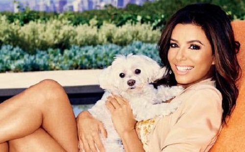 Eva Longoria babát vár?