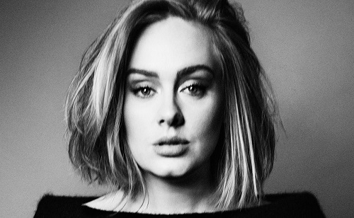 Adele kisfiát baleset érte