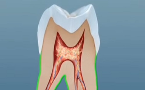 Visszanöveszti a fogakat egy Alzheimer-gyógyszer?