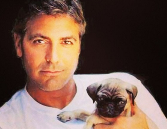 George Clooney már nemcsak kiskutyát babusgat - élvezi az apaságot