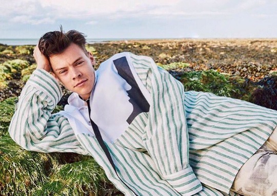 Harry Styles-ról azelőtt csak gyerekeitől hallott a rendező