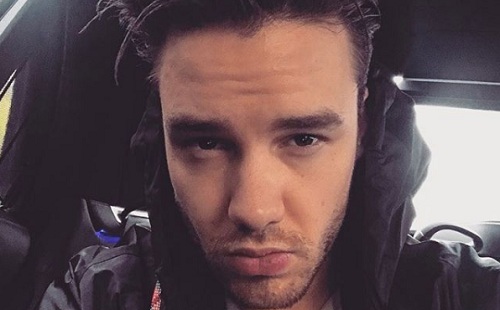 Liam Payne Ed Sheerannel írta debütáló dalát 