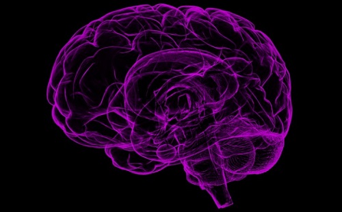 Az emberi agyat utánozza az MI szinapszis