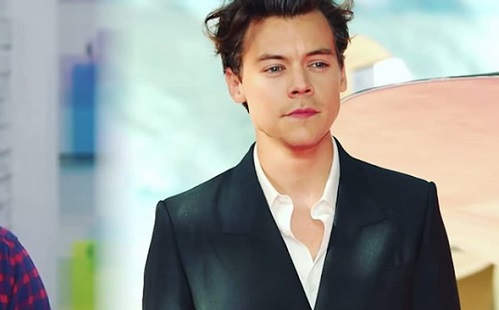 Harry Styles és modell kedvese szakított