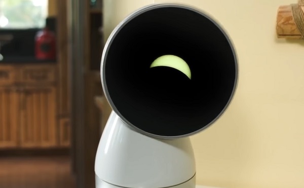 Jibo robot volt az első beszélgető modell a robotika terén