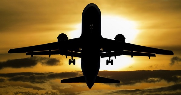 A rep&uuml;lőket v&eacute;deni kell a mad&aacute;rrajokt&oacute;l - erre dolgoztak ki mesters&eacute;ges intelligencia dr&oacute;nt