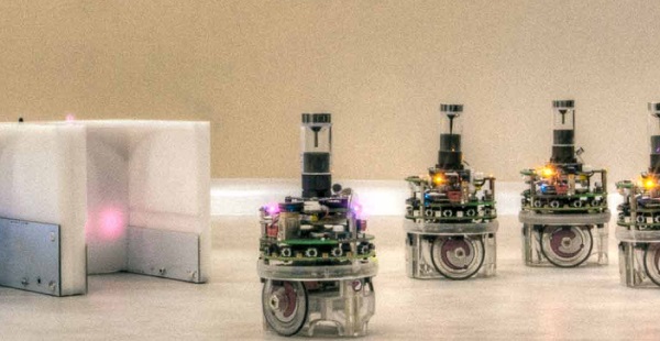 A robotokat arra programozzák, hogy együtt meg tudják ítélni a feladatok sorrendjét