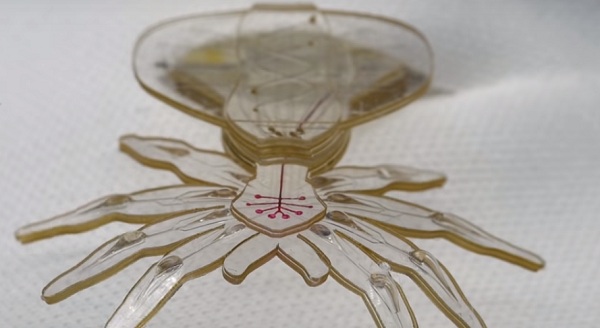 A puha p&oacute;kform&aacute;j&uacute; robot szilikonb&oacute;l k&eacute;sz&uuml;lt