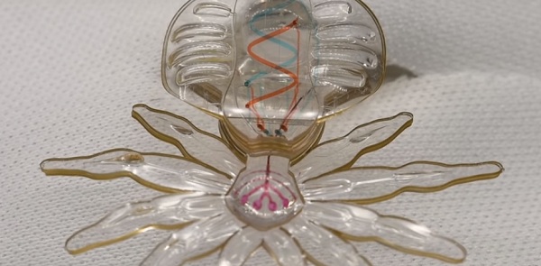 Az intelligens minirobot k&eacute;pes a szerkezet&eacute;t, mozg&aacute;s&aacute;t, sz&iacute;n&eacute;t v&aacute;ltoztatni