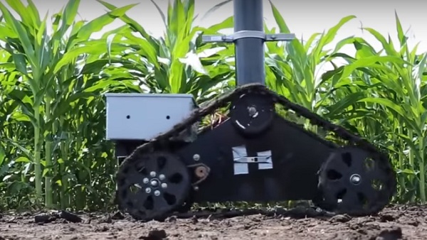 Az Illinois Egyetem kutatócsoportja által fejlesztett kísérleti robot méri fel a növényeket 