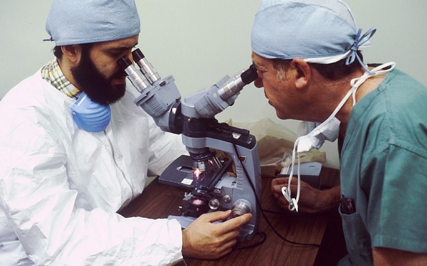 Ma m&aacute;r a mesters&eacute;ges intelligencia is seg&iacute;t a bakt&eacute;riumok pontos elemz&eacute;s&eacute;ben