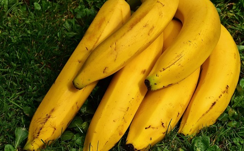 Itt a banánvédő mesterséges intelligencia 