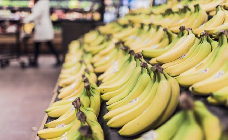 Nagyon sokat segít a mesterséges intelligencia a banántermés megvédésben