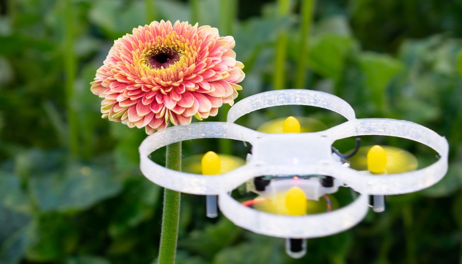 Denevérszerű drón védi a növényeket az üvegházban a kártevő repülő rovaroktól 