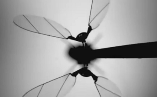Mesterséges intelligencia: a robotméhnél is továbbmentek a kutatók 