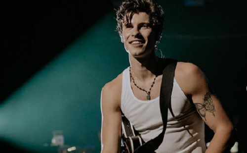 Shawn Mendes gégegyulladásban szenved