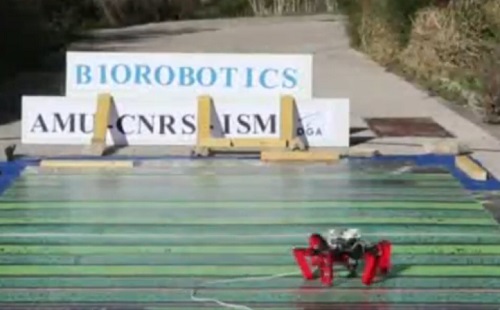 Ez a robot már GPS nélkül is tud mozogni