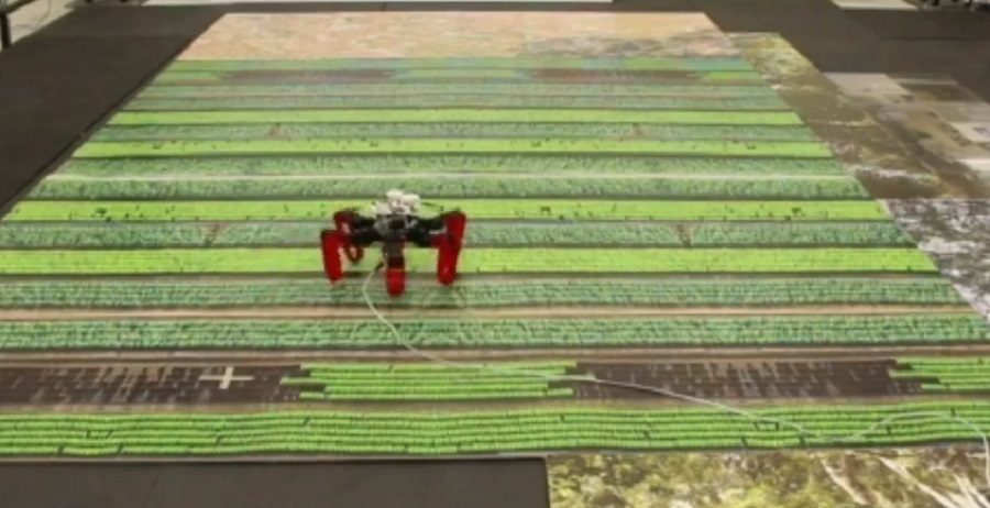 Az Antbot mesterségesen intelligens robot a sivatagi hangyák mintájára készült