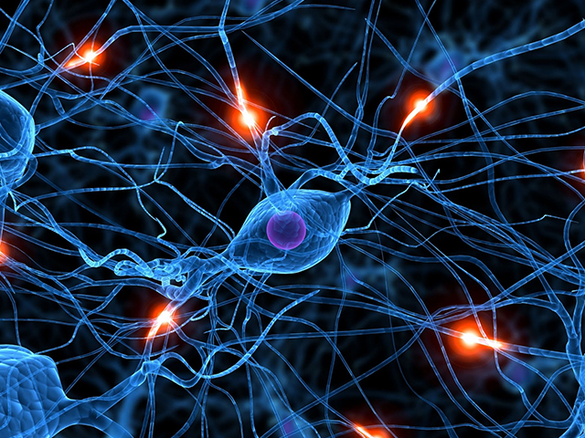 Magyar kutatók vizsgálják az emberi agy és a mesterséges intelligencia működését 