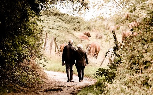 Az időskori együttlét pozitívan hat a memóriára
