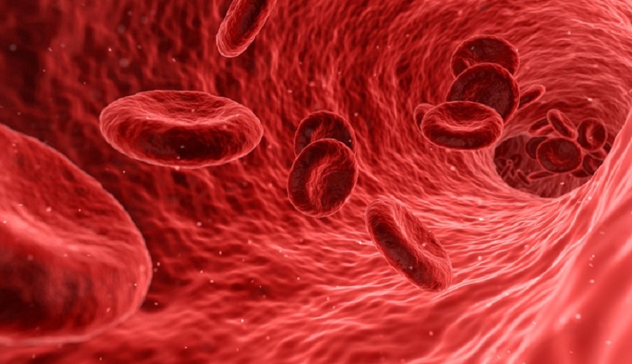 Emberi vér - ám a kutatók már a robotvért is megalkották