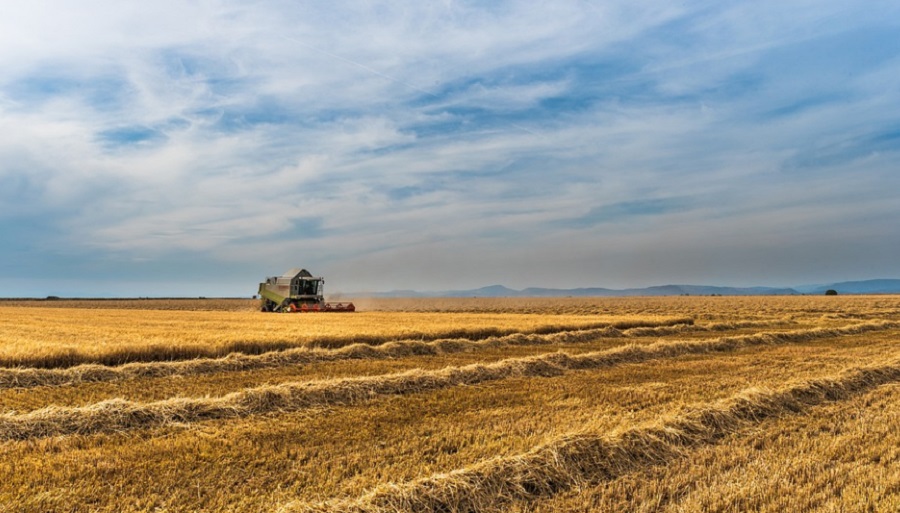 A mesters&eacute;ges intelligencia seg&iacute;ts&eacute;g&eacute;vel a g&eacute;pek hamarosan sz&aacute;mos feladatot &aacute;tvehetnek a gazd&aacute;lkod&oacute;kt&oacute;l