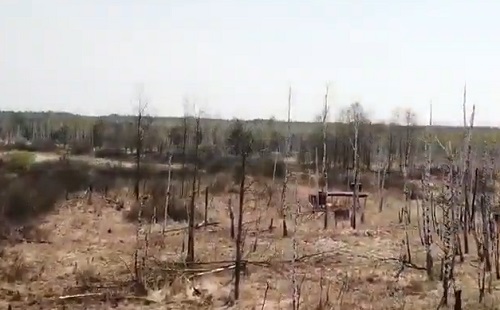 Drónok mérik fel Csernobil Vörös erdejét
