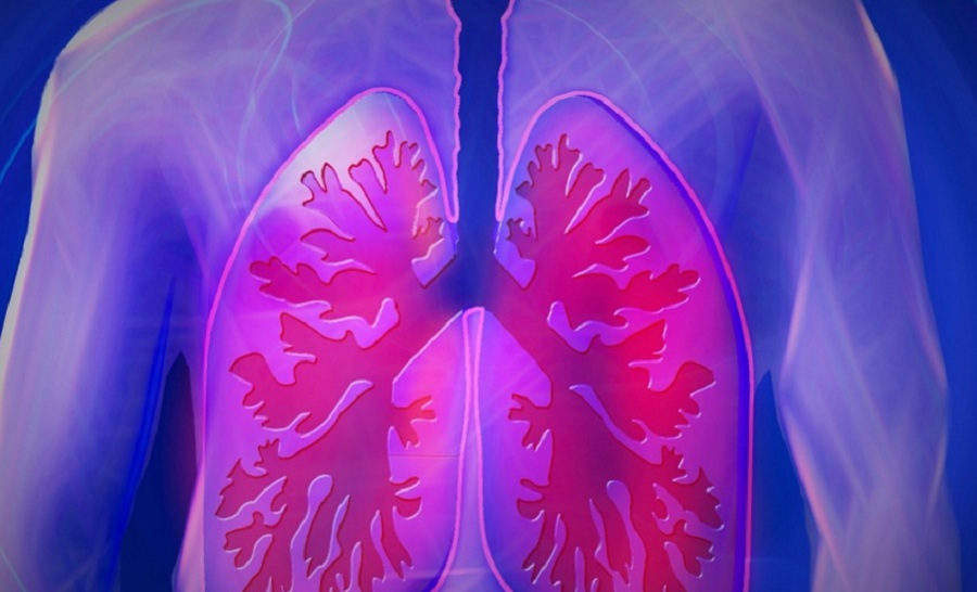 A mesters&eacute;ges intelligencia kiv&aacute;l&oacute;nak bizonyult a t&uuml;dőr&aacute;k azonos&iacute;t&aacute;s&aacute;ban