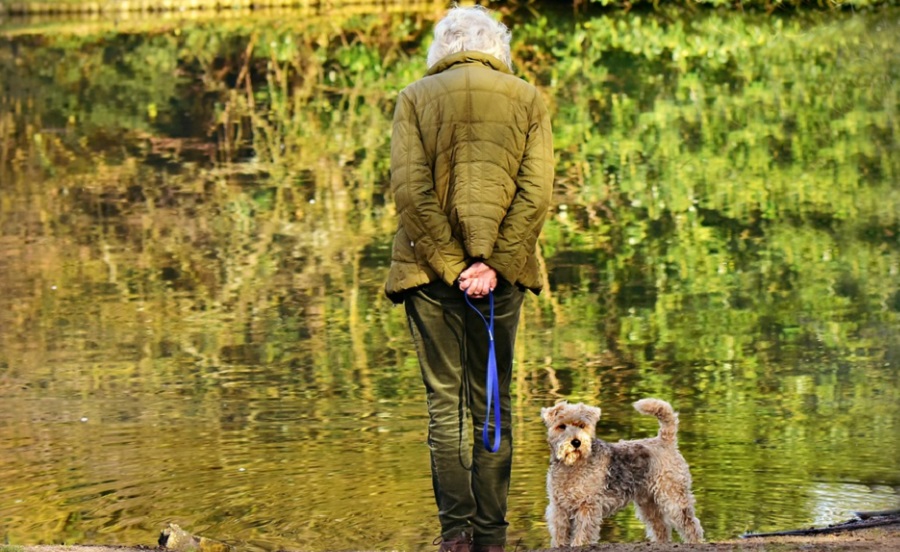 Az idősek könnyen szenvedhetnek el csonttörést kutyasétáltatás közben