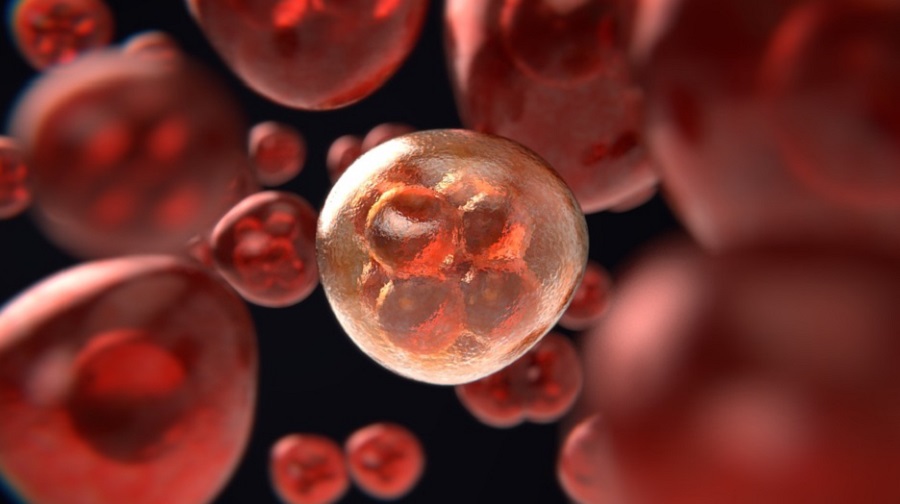 Azonos&iacute;tani tudja &eacute;s meg is c&eacute;lozza a r&aacute;kos sejteket egy &uacute;j robotikus eszk&ouml;z