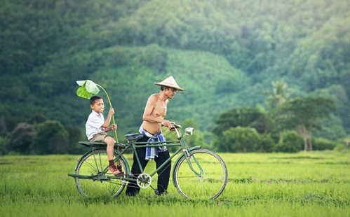 Mesterséges intelligenciát használhat a thai mezőgazdaság