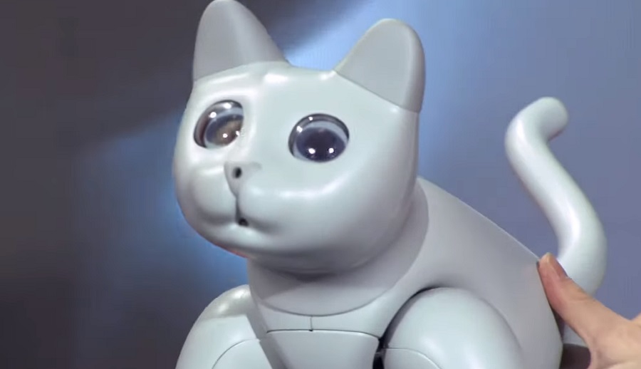 A Marscat robotmacska önállóan teszi a dolgát - mint a valódi