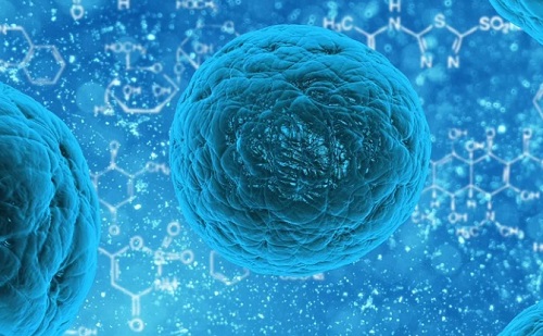 „Ráeresztették” a mesterséges intelligenciát a koronavírus fehérjeszerkezetére