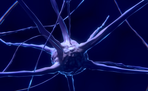 Mesterséges intelligencia - Emberi agyban látható mesterséges neuront fedeztek fel