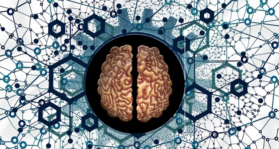 Emberi agyban látható neuronokat fedeztek fel az OpenAI kutatói