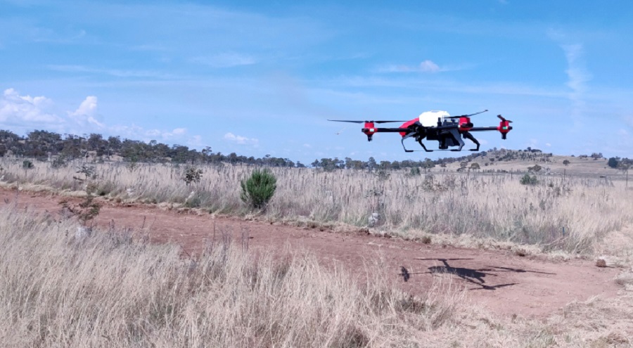 A drónokat hatékonyan használhatják a gazdálkodók a földek és a termés elemzésére