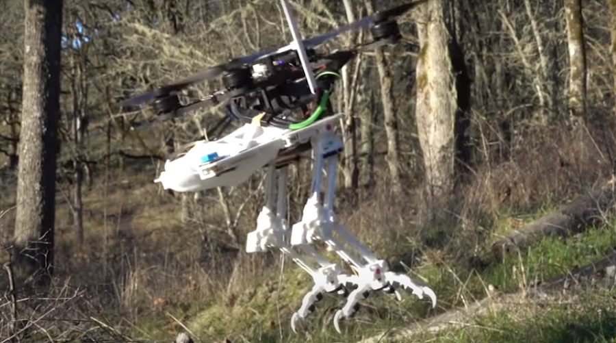 Madárszerű robotot alkottak meg a kutatók - Próba egy oregoni erdőben